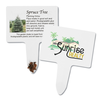 Compostable Seed Stakes - Spruce Tree