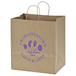 Kraft Paper Brown Eco Shopping Bag – 15-1/2” x 14”