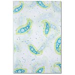 Tissue Paper - Paisley