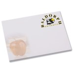 Bic Sticky Note - Designer - 3x4 - Apple - 50 Sheet