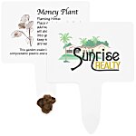 Compostable Seed Stakes - Money Plant