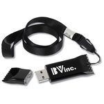 Springfield USB Drive - 4GB