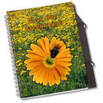 Showcase Notebook