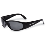 Big Cat Sunglasses