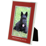 Silver Accent Aluminum Frame - 4