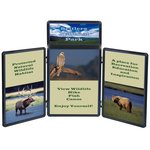 Show 'N' Write Tabletop Display - 4' - Full Color