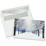 Winter's Path Greeting Card