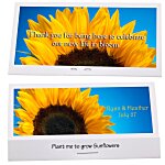 Matchbook Seed Packet - Sunflower