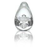 Polar Art Glass Award