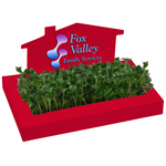 House Sprout Box