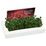 Billboard Sprout Box