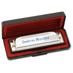 View a larger, more detailed picture of the Harmonica in Plastic Case