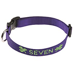 View a larger, more detailed picture of the Dog Collar - Medium