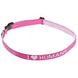 View a larger, more detailed picture of the Dog Collar - Large