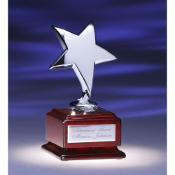 View a larger, more detailed picture of the Optima Star Award