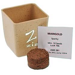 View a larger, more detailed picture of the 1 PC Flower Pot - 24 hr