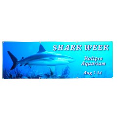 View a larger, more detailed picture of the Vinyl Full Color Banner - 2 x 6 
