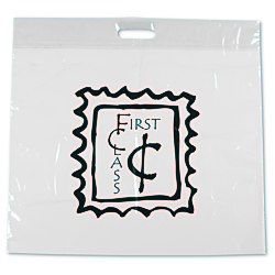View a larger, more detailed picture of the Take Home Bag - 20 x 20 - Translucent