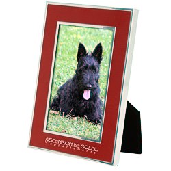 View a larger, more detailed picture of the Silver Accent Aluminum Frame - 4 x 6 