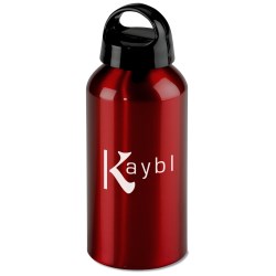 View a larger, more detailed picture of the Shortie Aluminum Bottle - 17 oz 