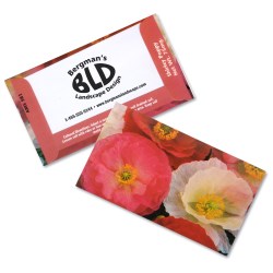 View a larger, more detailed picture of the Business Card Seed Packet - Shirley Poppy