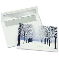 View a larger, more detailed picture of the Winter s Path Greeting Card