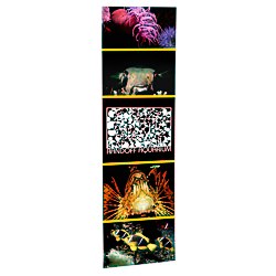 View a larger, more detailed picture of the Economy Retractor Banner - 24 - Replacement Graphic
