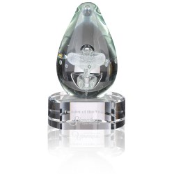 View a larger, more detailed picture of the Polar Art Glass Award - Clear Base