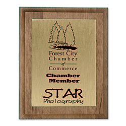 View a larger, more detailed picture of the Walnut Finished Wood Plaque w Aluminum Plate - 10 