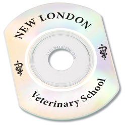 View a larger, more detailed picture of the Recordable Business Card CDs - Screened