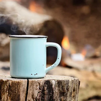 mug sitting on a log in front of a campfire