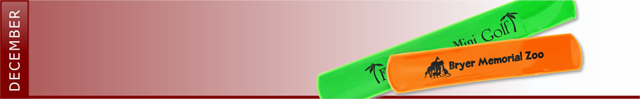 National Drunk and Drugged Driving Prevention Month