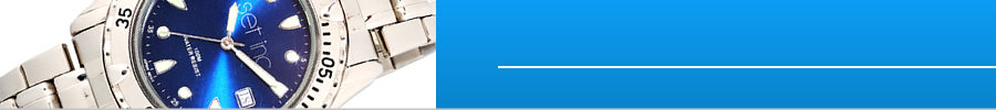 Includes Date Window