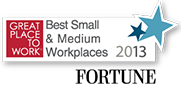 Great Place to work for small and medium workplaces 2013