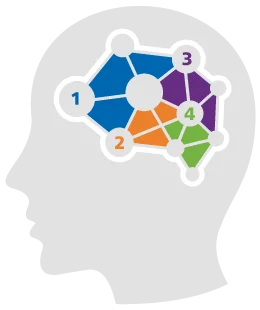 Infographic with a clipart brain