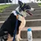 Dogs Forever of Iowa, Recipient
