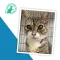 Chilliwack Animal Safe Haven, Recipient