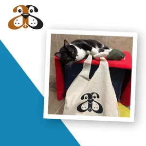 Animal Allies Humane Society, Recipient