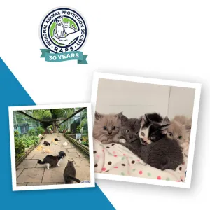 Regional Animal Protection Society, Recipient