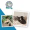 Regional Animal Protection Society, Recipient