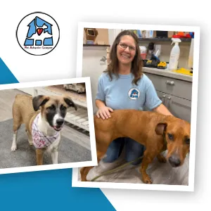 Pet Adoption League of Gem County, Recipient