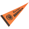 View Image 1 of 1 of Pennant 8 inches x 18 inches - Colors