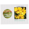 View Image 1 of 2 of Impression Series Seed Packet - Coreopsis