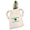 View Image 1 of 1 of Blue Spruce Tree