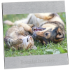 View Image 1 of 1 of 4 inches x 6 inches Brushed Aluminum Split Frame