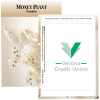View Image 1 of 1 of Standard Series Seed Packet - Money Plant