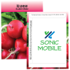 View Image 1 of 1 of Standard Series Seed Packet - Radish