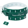 View Image 1 of 1 of Vinyl Locking Wristband - 10 Tabs