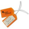 View Image 1 of 1 of Business Card Luggage Tag