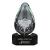 View Image 1 of 1 of Polar Art Glass Award - Black Base